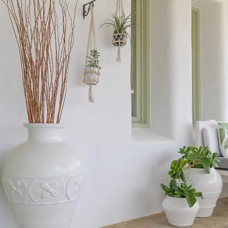 Arethousa House Villa *