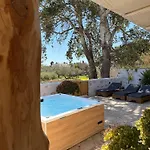 Arethousa House Villa Drios